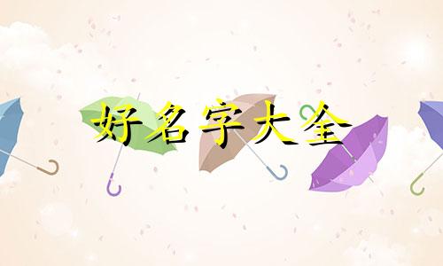 如何给荷兰猪起名字大全可爱