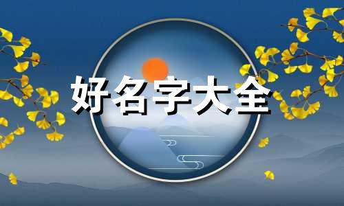 数码类如何起名字好听一点