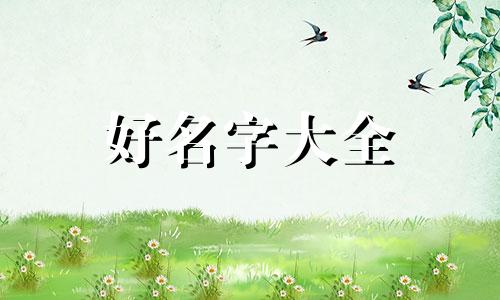 如何用人猿泰山起名字好听