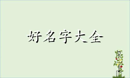 如何给一个公司起名字最好