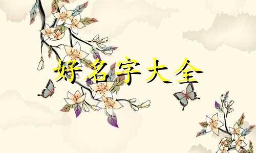 毛猫咪如何起名字好听一点