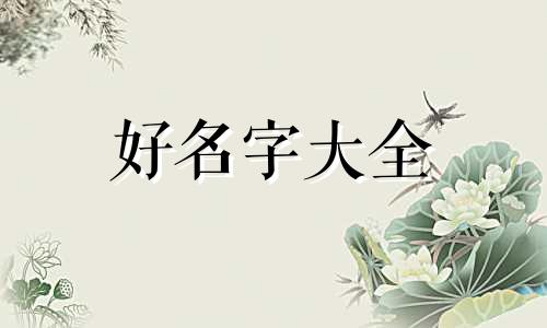 如何起名字女孩子工作经历