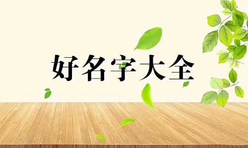 姓罗业字辈如何起名字好听