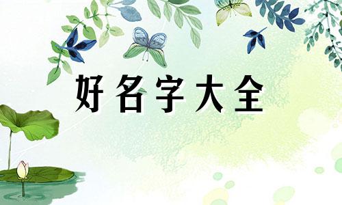 李卫如何起名字男孩子的