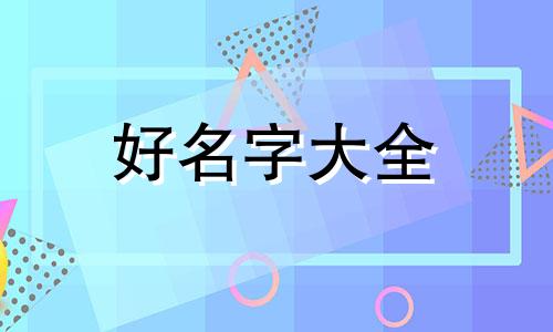 如何给博美起名字可爱又好听