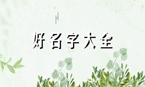 养发公司如何起名字吸引人