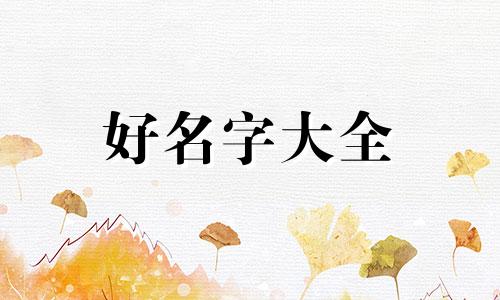 开儿童服装店如何起名字