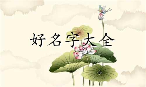 如何给小鹅通店辅起名字