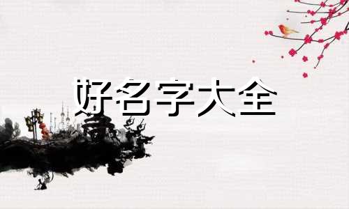 戒指如何起名好听一点女生