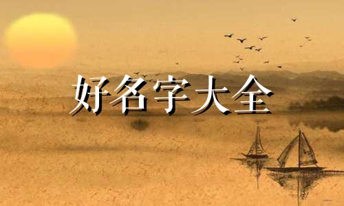 双胞胎兄弟该如何起名字好