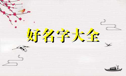 小龙包如何起名字好听一点