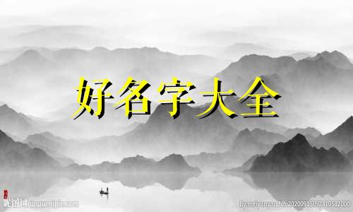 姓贾的如何起名字男孩子