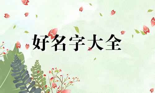 女装c店如何起名字吸引人