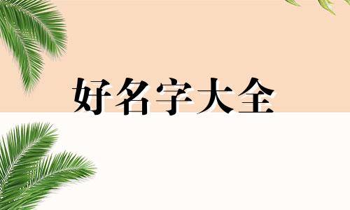 姓周双胞胎如何起名字男孩