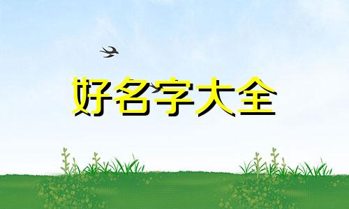 跆拳道馆如何合并起名称