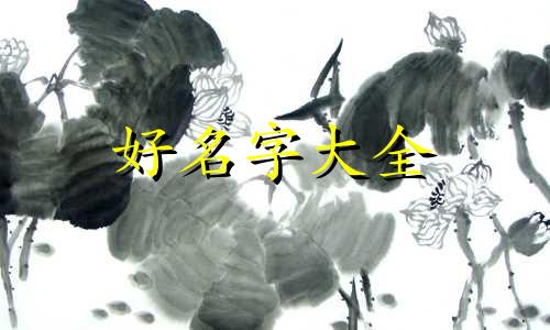 澡堂如何起名好听一点儿
