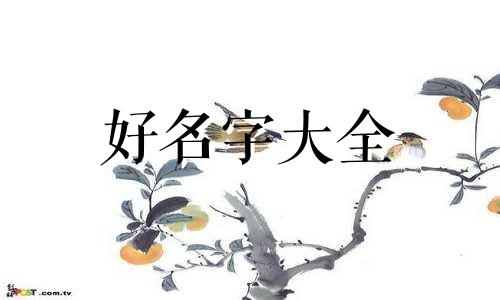 晨字五行如何起名女孩子