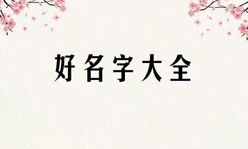 姓氏为盛如何起名字男孩子