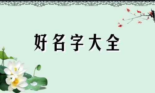 小猫咪该如何起名好听一点