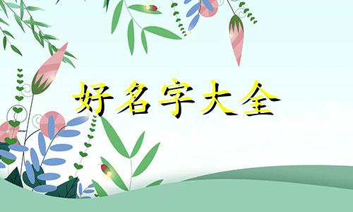 女装品牌如何做代理商起名