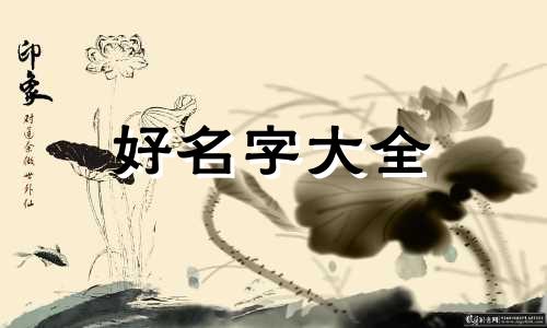 灯光设计师如何起名字好听