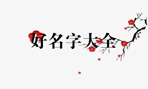 微信小视频如何起名字好听