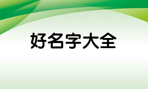 做零食如何起名字呢女生