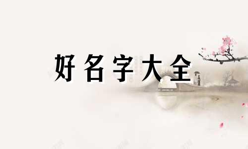 瓜子店如何起名字好听一点