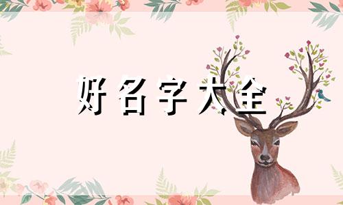 如何给医生的电动车起名字