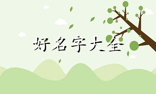 如何在游戏中起名字带宝字