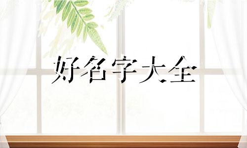 一只猫如何起名字可爱的