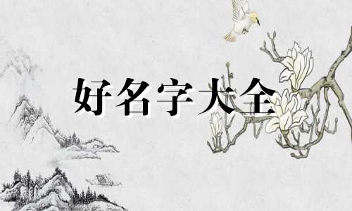 培训班如何起名字好听点洋气