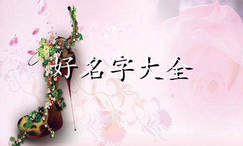猪女如何起名字最好听的名字