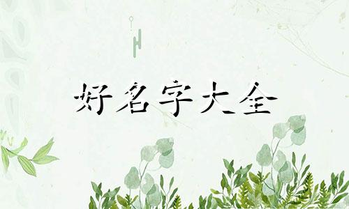詹字起名字女虎年运势如何