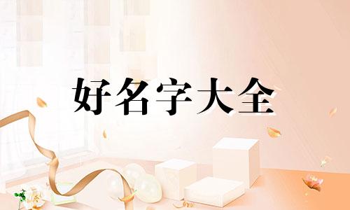 在内蒙古如何给猫咪起名字