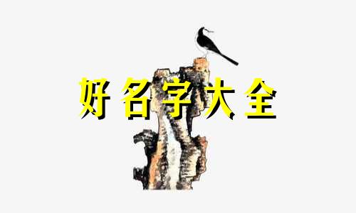 如何给图画圈起名称和图片