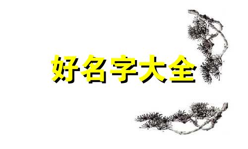 小宠物店如何起名字呢大全