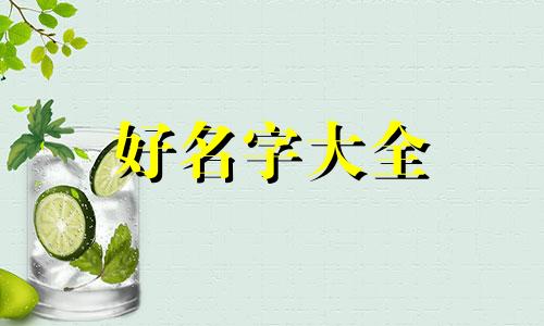 猫如何起名子好听一点的名字