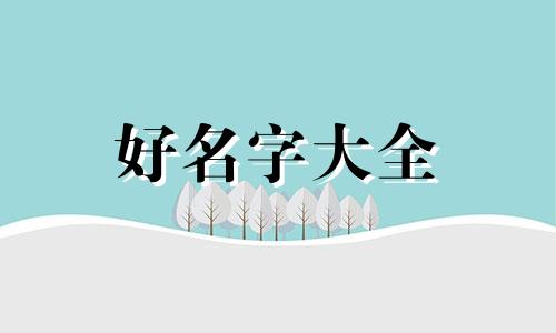 花龟如何起名字好听一点