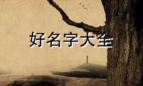 姓林的女生如何起名字洋气点
