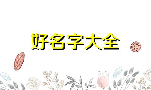 曹张如何起名大全简单一点