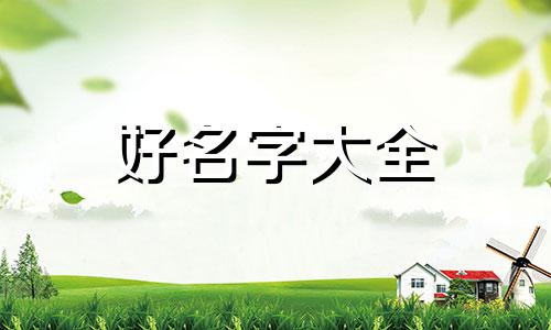 如何给策划书起名字和图片