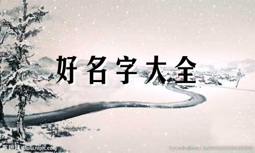 如何给猴哥起名字女生好听