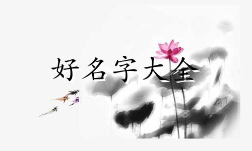 给动物如何起名字好听一点