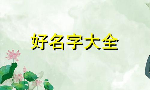小宠物店如何起名字呢好听