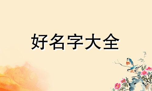 孙姓加杨姓如何起名字男孩