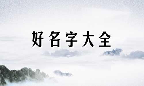 如何给自己的玩具狗起名字