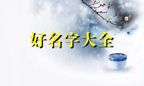虎宝宝叫景辰如何起名字好听