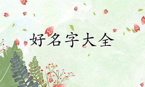高管群如何起名字吸引人
