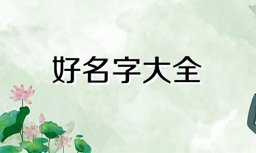 小黑子如何起名字好听一点